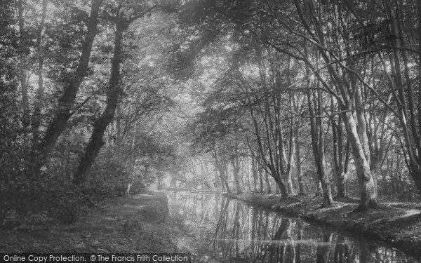 Photo of Bindon Abbey, Woods And River Frome 1894
