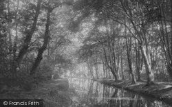 Woods And River Frome 1894, Bindon Abbey