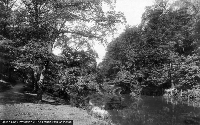 Photo of Bingley, On The River 1894