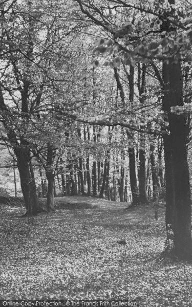 Photo of Birdlip, Witcombe Woods c.1955