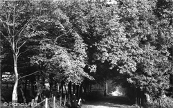 Cricketfield Lane 1899, Bishop's Stortford