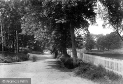 Cricketfield Lane 1903, Bishop's Stortford