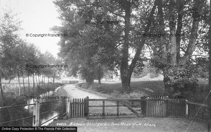 Photo of Bishop's Stortford, Town Mead Walk 1899
