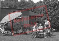 A Sunny Aftenoon c.1955, Blackboys