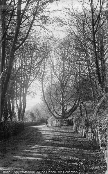 Photo of Blackgang Chine, In The Undercliff c.1890