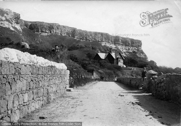 Photo of Blackgang Chine, The Undercliff 1896