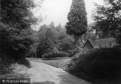 Chilworth Hill c.1950, Blackheath