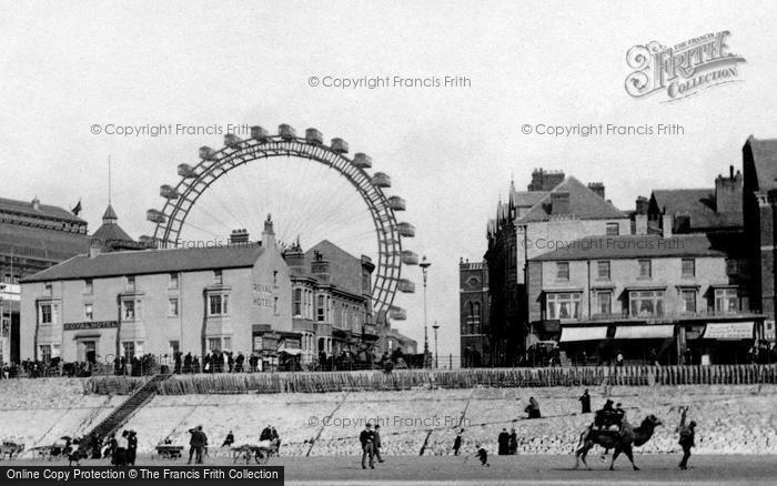 Photo of Blackpool, Camel On The Sands 1896