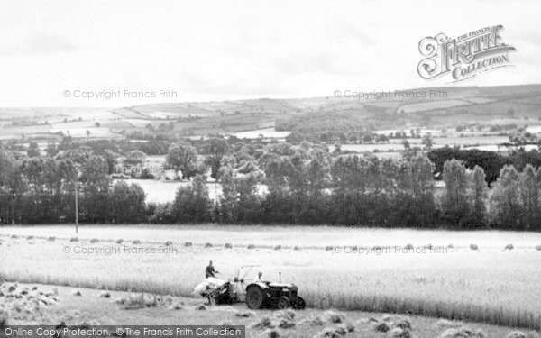 Photo of Blue Anchor, Harvest Time c.1955