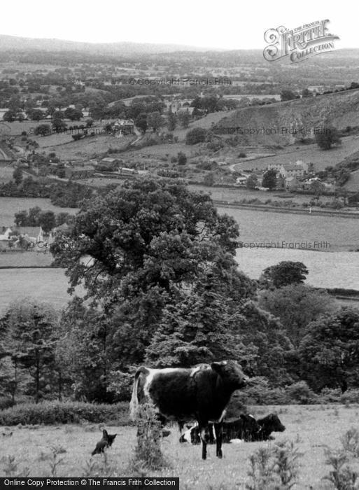 Photo of Bodfari, General View c.1955