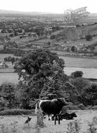 General View c.1955, Bodfari