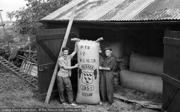 Photo of Bodiam, Hop Packing 1957