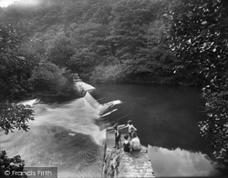 Dunmere Pool 1931, Bodmin