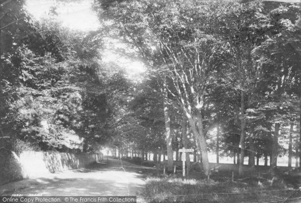 Photo of Bognor Regis, Upper Bognor Road 1892