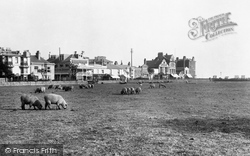 Waterloo Square, Sheep Grazing 1921, Bognor Regis
