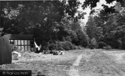Gravenhurst Agricultural Camp c.1955, Bolney