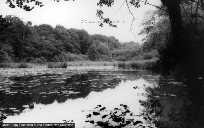 Photo of Bolney, The Old Mill Ponds c.1960