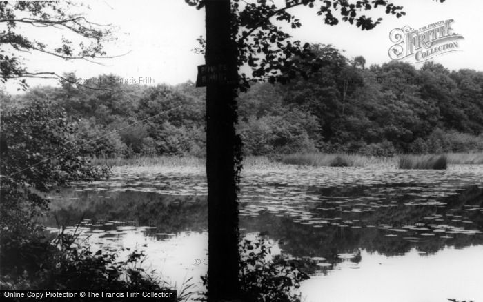 Photo of Bolney, The Old Mill Ponds c.1960