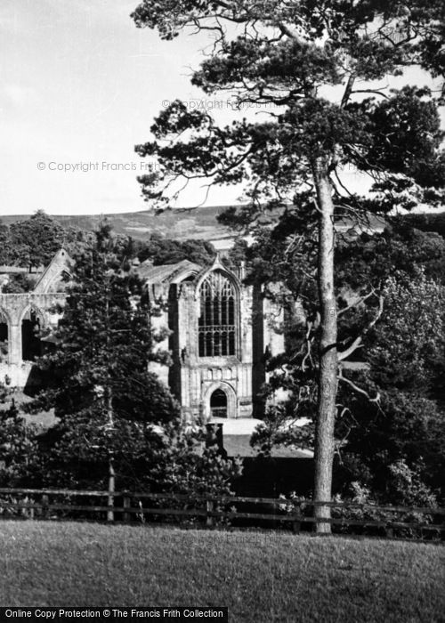 Photo of Bolton Abbey, A Peep Through The Trees c.1950