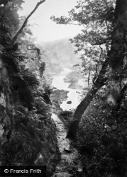 View Above The Strid 1886, Bolton Abbey