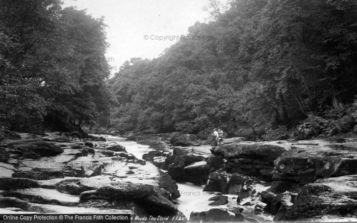 Photo of Bolton Abbey, Woods, The Strid 1893