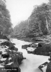 Woods, The Strid c.1920, Bolton Abbey
