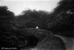Bridge In The Park 1893, Bolton