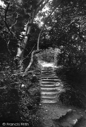 Landslip Steps 1913, Bonchurch