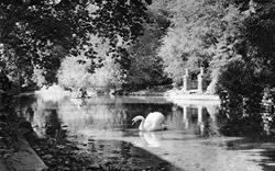 Pond c.1950, Bonchurch