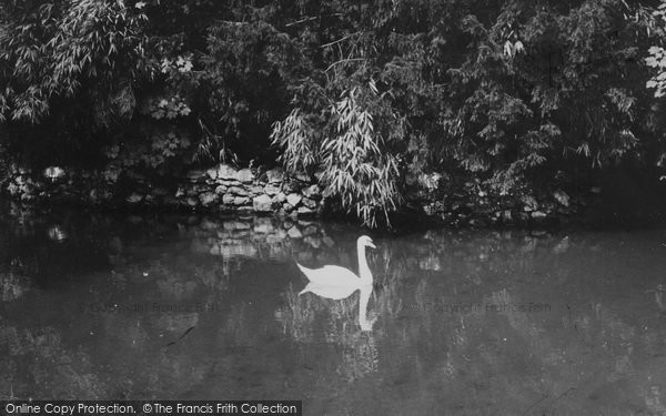 Photo of Bonchurch, The Pond c.1955
