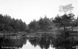 Oxney Pond c.1905, Bordon