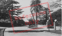 Barham Avenue c.1955, Borehamwood
