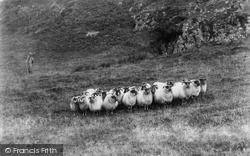Sheep On Castle Crag c.1865, Borrowdale