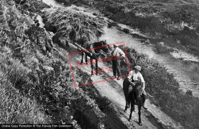 Photo of Borth, Farmers At Work, Lerry Banks 1925