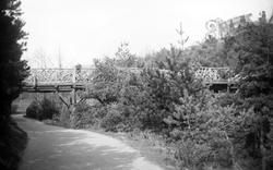 Rustic Bridge In The Gardens c.1900, Boscombe