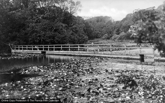 Photo of Bosherston, Bridge Over Lily Pools c.1950