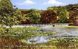 The Lily Pond And Bridge c.1955, Bosherston