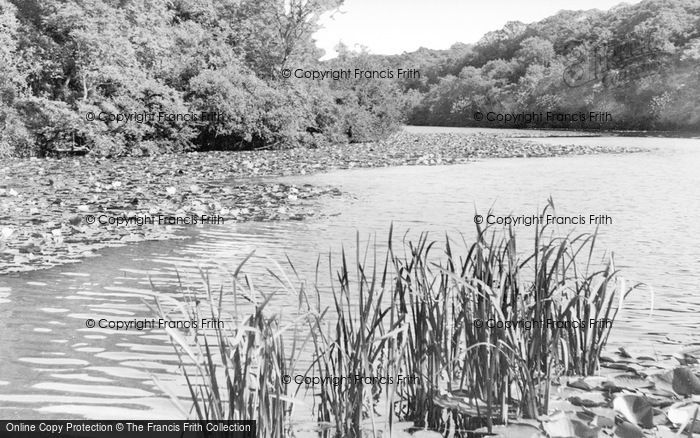 Photo of Bosherston, The Lily Pools c.1950