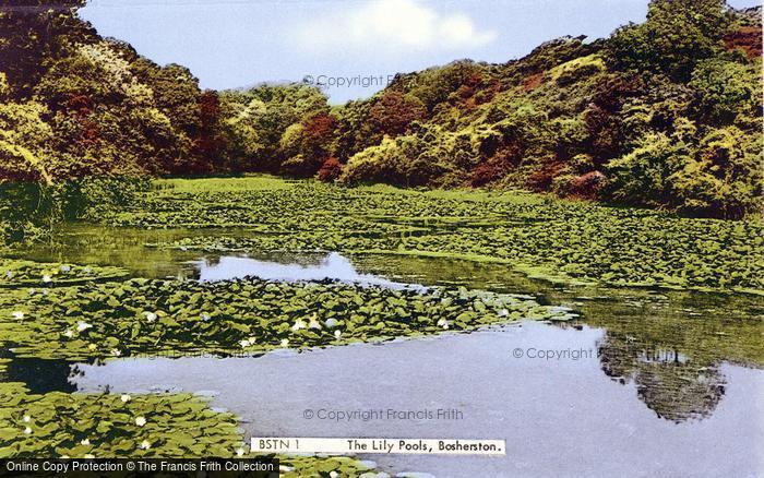 Photo of Bosherston, The Lily Pools c.1955