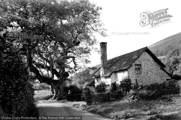 Photo of Bossington, The Famous Walnut Tree c.1950
