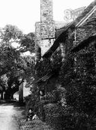 Village Residents 1890, Bossington