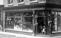 Civet Cat, High Street 1899, Boston
