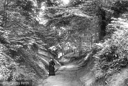 Holgate Lane 1893, Boston Spa