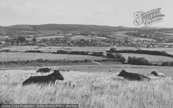 Photo of Bothenhampton, From The Cliffs c.1955