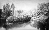Branksome Chine Island c.1878, Bournemouth