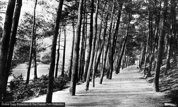 Photo of Bournemouth, Invalid's Walk c.1880