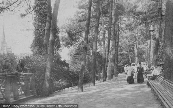 Photo of Bournemouth, The Pine Walk 1904