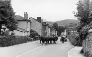 Bovey Tracey photo
