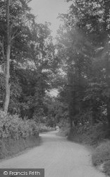 Heytor Road 1920, Bovey Tracey