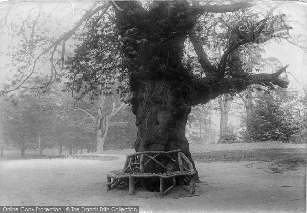 Photo of Bowdon, Dunham Park 1897
